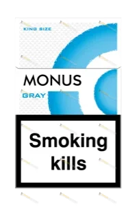 MONUS GRAY King size